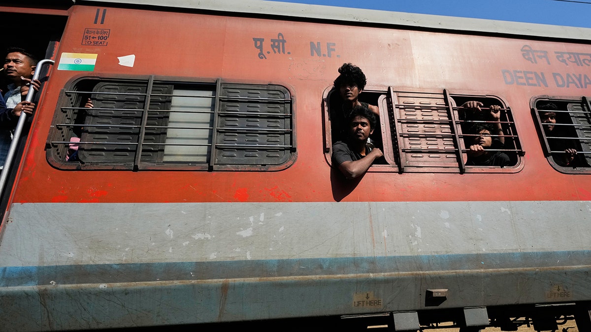Seven elephants killed after high-speed train hits herd crossing tracks in Assam, India