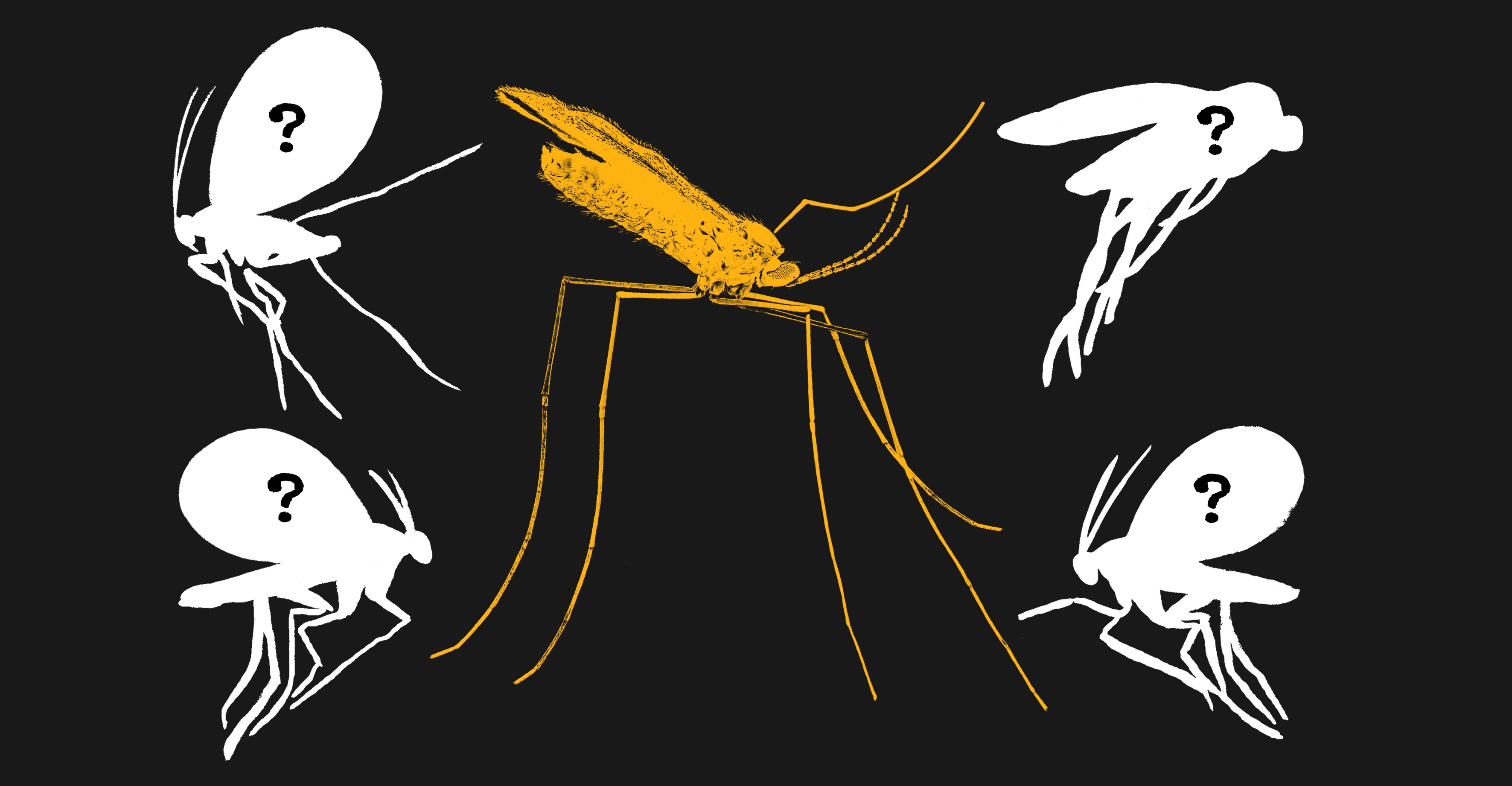 Scientists Say Roughly 90% of Earth's Species Remain Unknown, Driven by Tiny, Overlooked Organisms