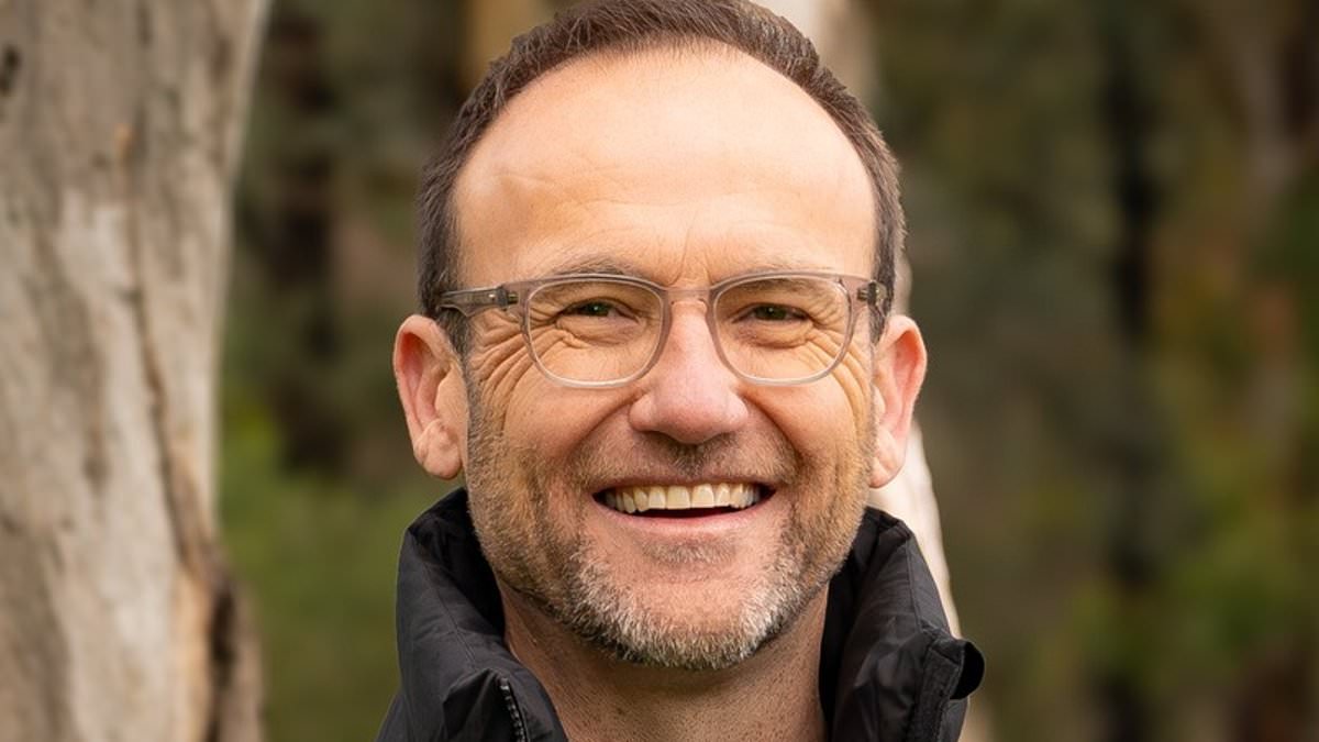 Adam Bandt named next CEO of Australian Conservation Foundation, says he will not run for Greens again