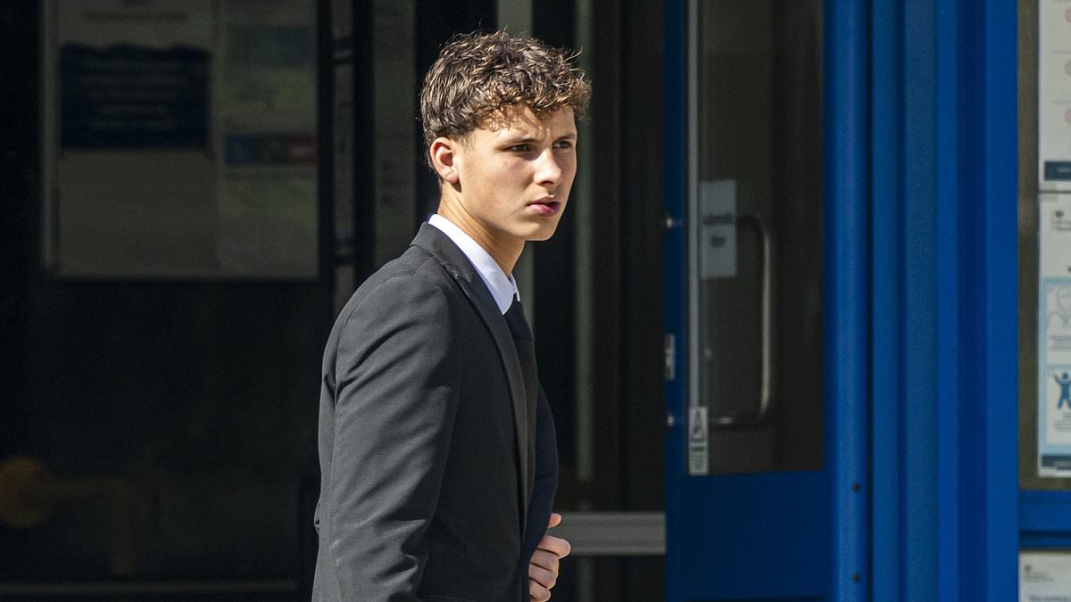 Two brothers charged in Sandbanks crash that left 17-year-old seriously injured