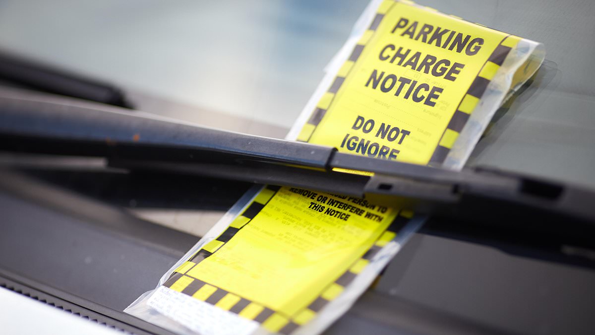 Private firms issued a record 4.3 million parking tickets in three months, government data shows