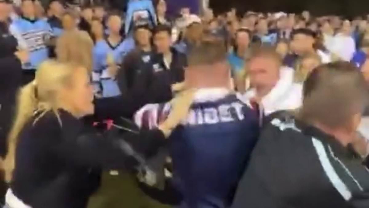 Brawl breaks out between Sharks and Roosters fans at PointsBet Stadium