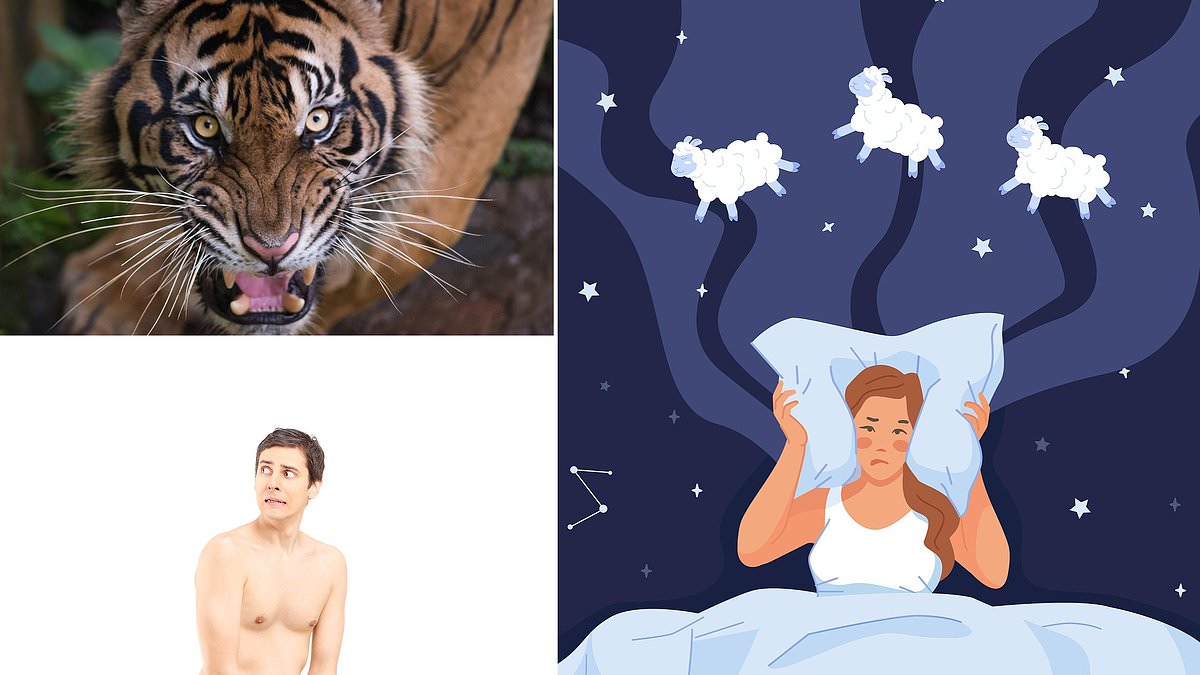 Into the Dream Lab: Michelle Carr chronicles sleep studies that map common nightmares