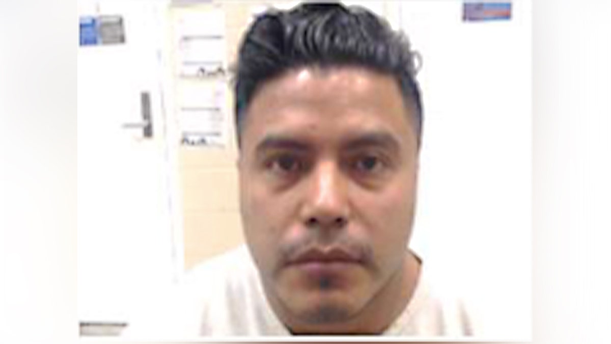Elidelfo Castro-Nava mugshot