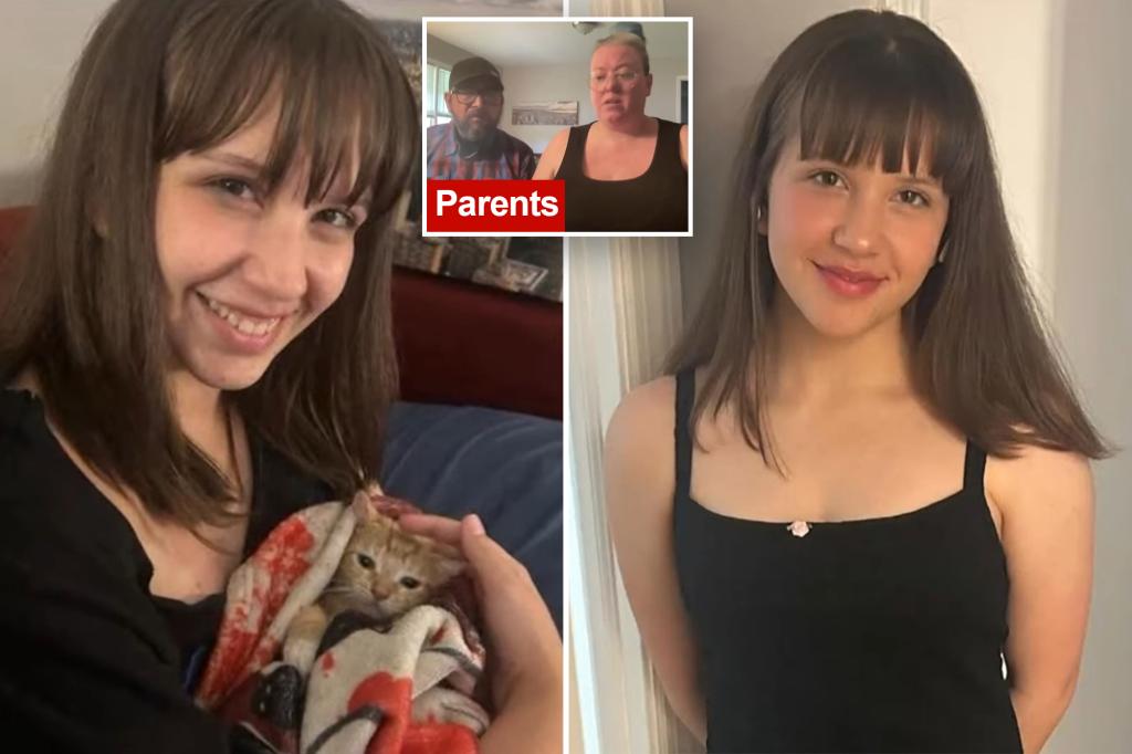 Georgia teen missing after homecoming dress shopping, family fears online predator may have lured her away