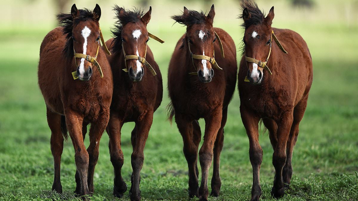 Argentine lab unveils first CRISPR‑edited foals aimed at polo, drawing breeder backlash
