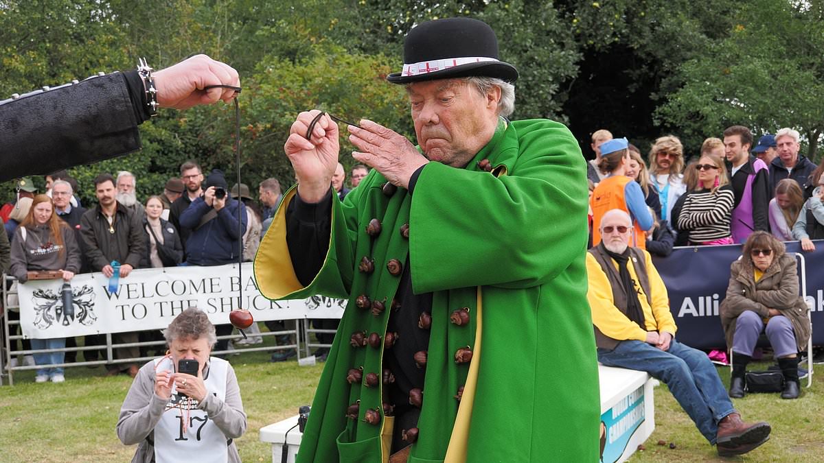 World conker championships could be axed after heatwaves threaten ancient playground tradition