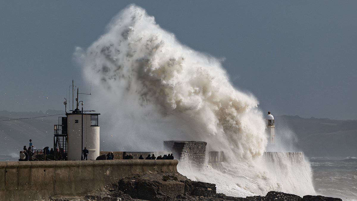 Man killed by falling tree branch as 78mph winds prompt UK-wide yellow warning