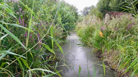 Solar panels with local landscape in the Gwent Levels