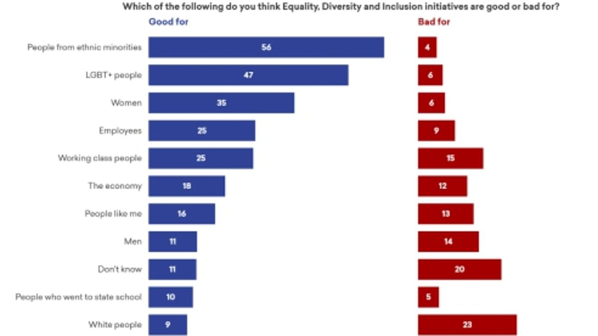British public’s support for DEI schemes declines as concerns about impact on white and working-class groups rise, survey finds