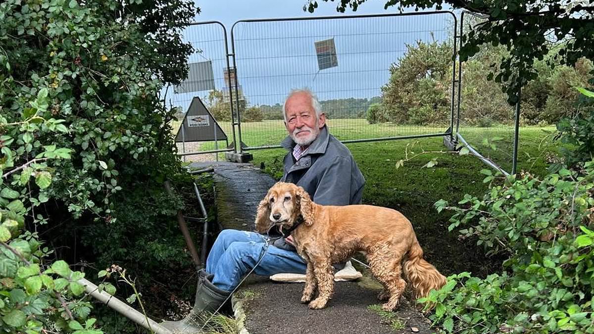 75-year-old pensioner blocks demolition of Brockenhurst footbridge as bulldozers pause