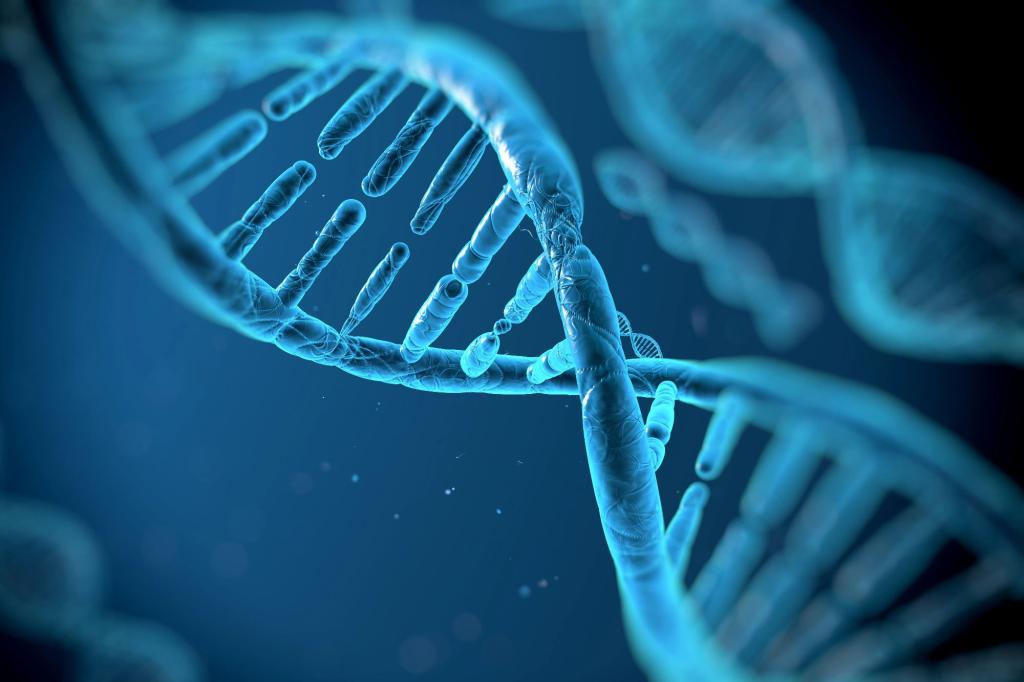 Top doctor says behavior can reshape genes, urging rethink of 'fixed' destiny