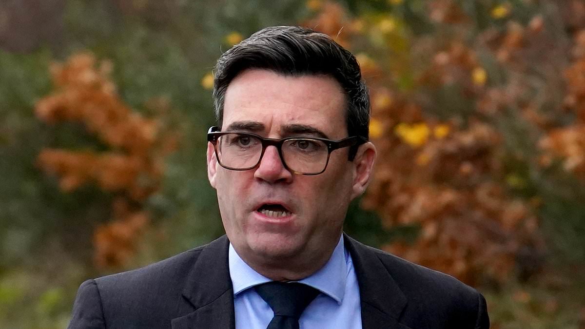 Culture secretary backs Burnham for Westminster comeback amid leadership speculation