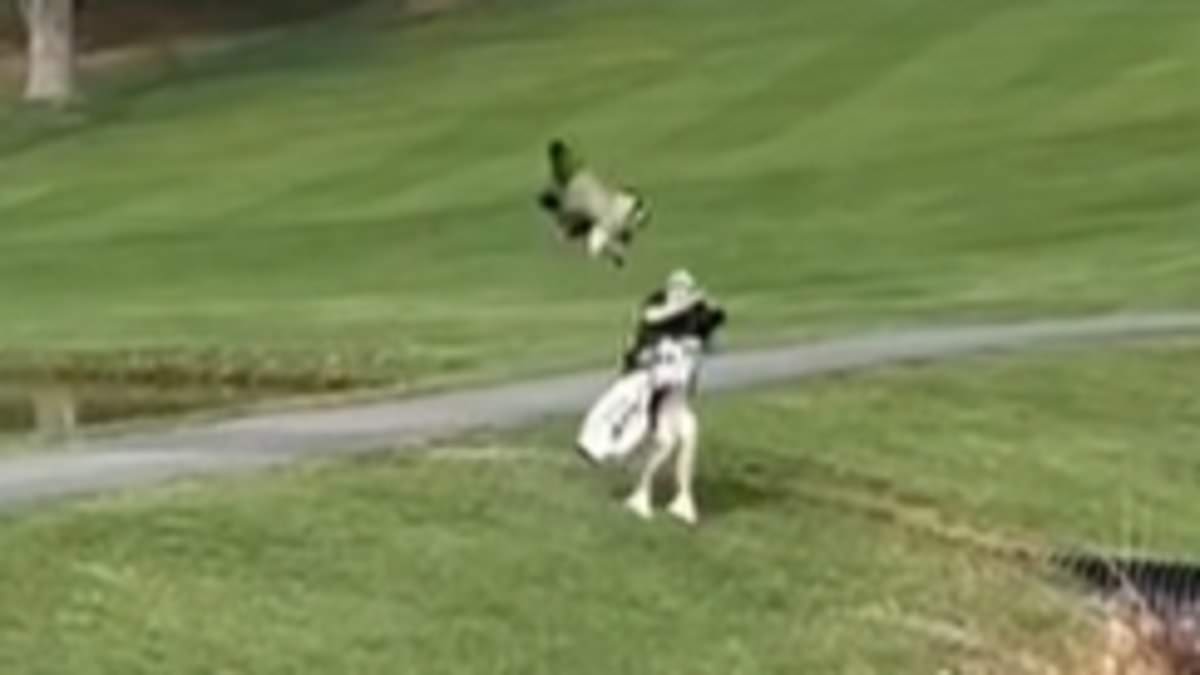 Viral video shows goose attacking college golfer and sending him into water hazard