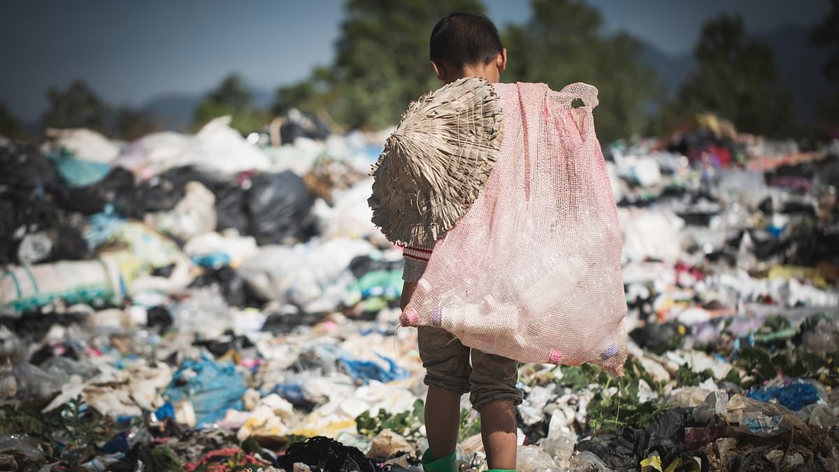 Cambridge study warns global warming could leave the average person 24% poorer by 2100