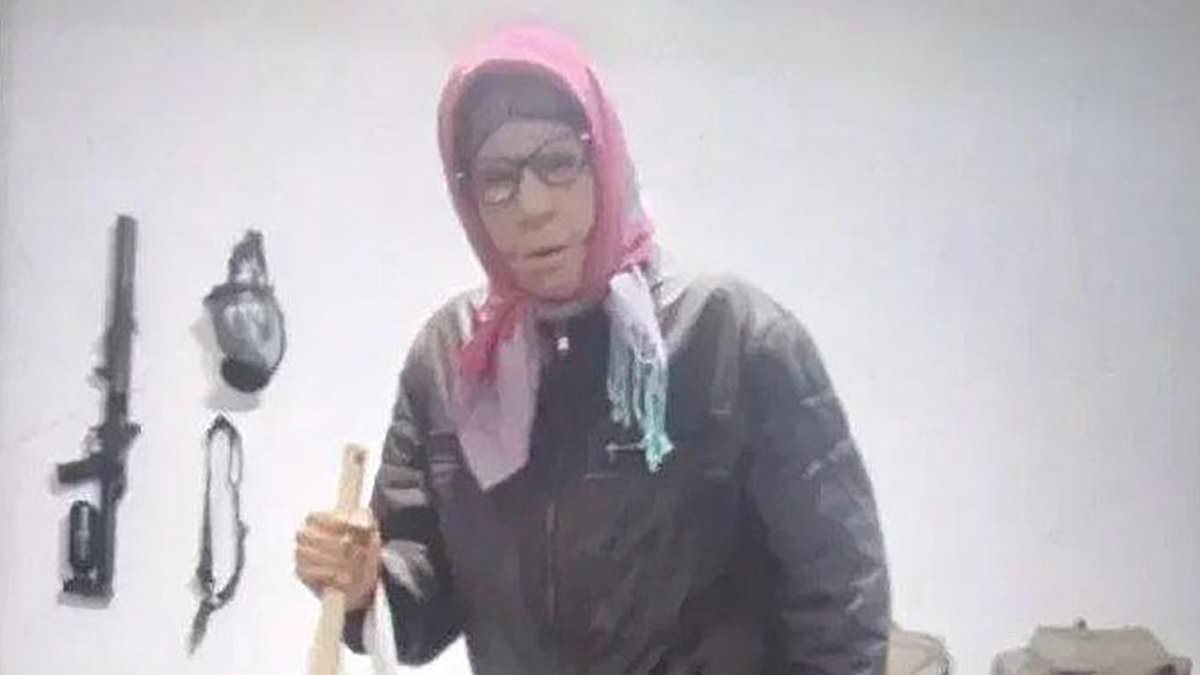 Ukrainian 19-year-old detained in Russia after alleged granny disguise plot to assassinate defence official