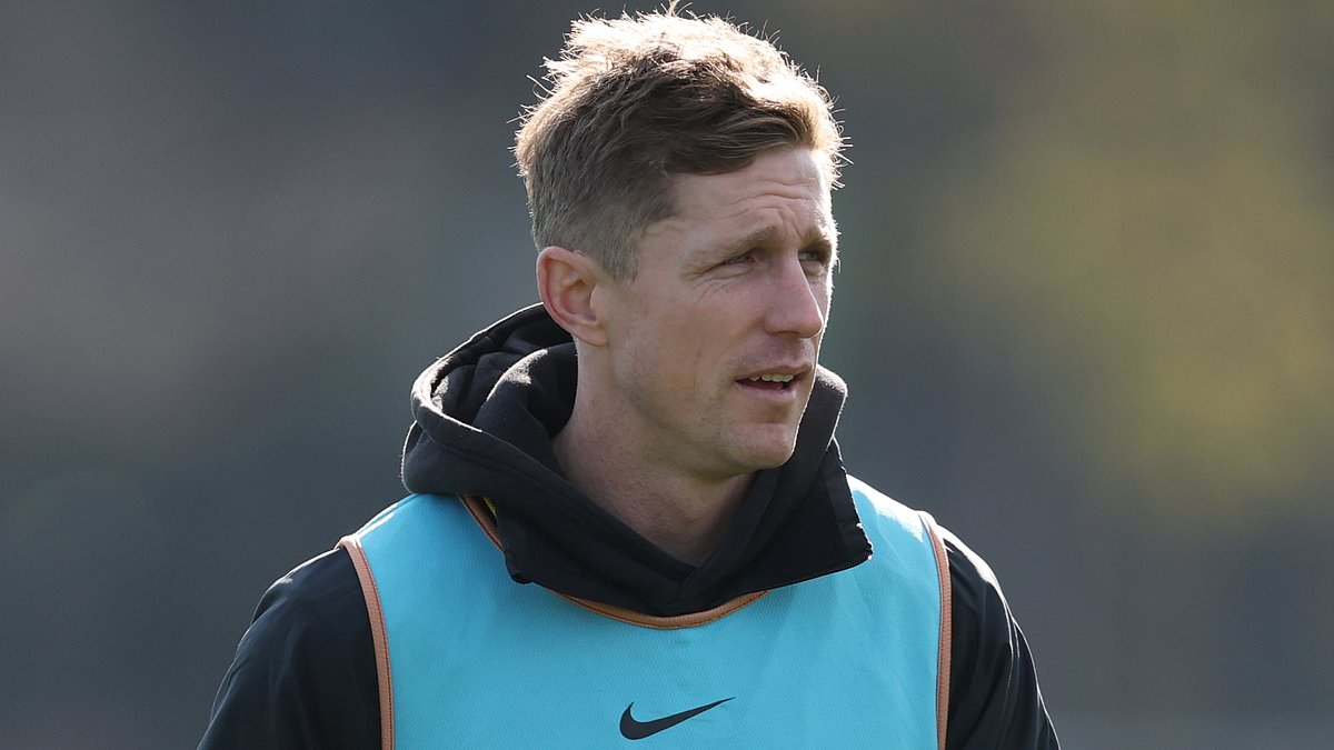 Scott Selwood to step away from AFL coaching in 2026 after brothers' deaths