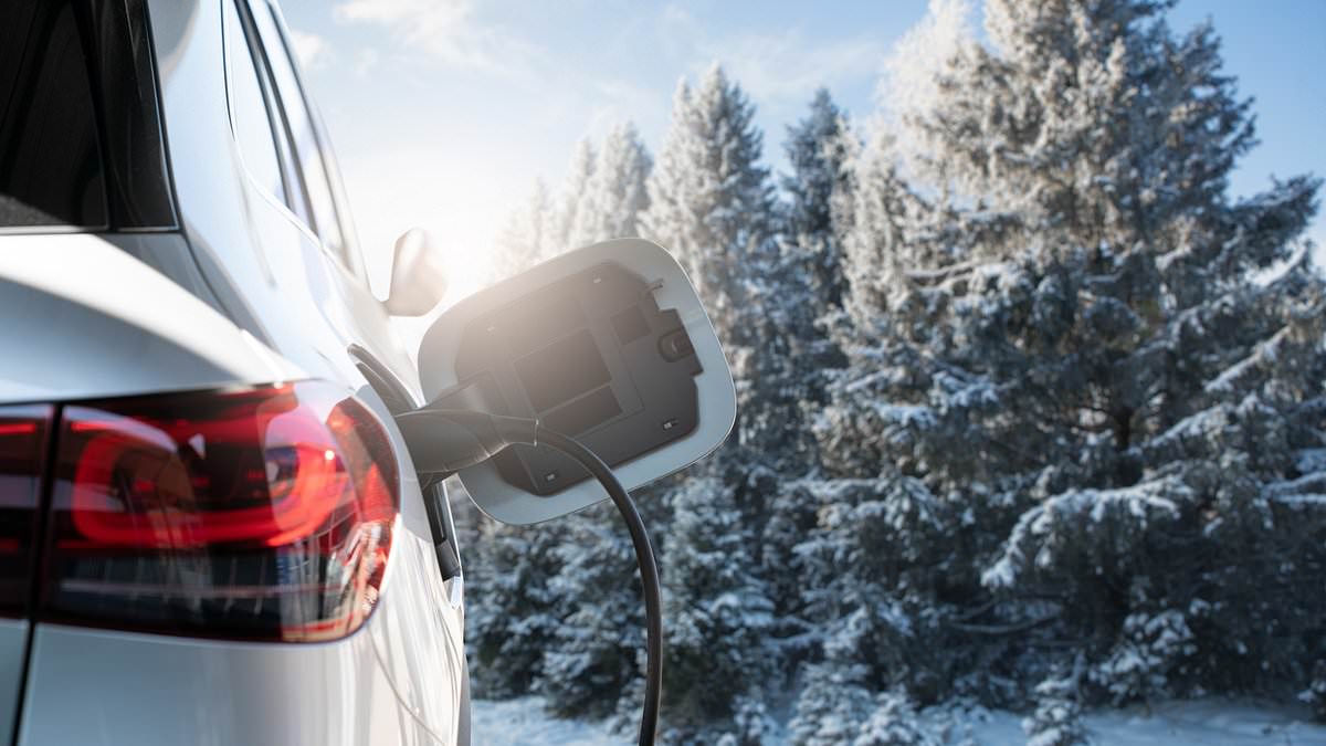 One-third of EV owners worry about Christmas range; some plan to drive petrol instead, poll finds