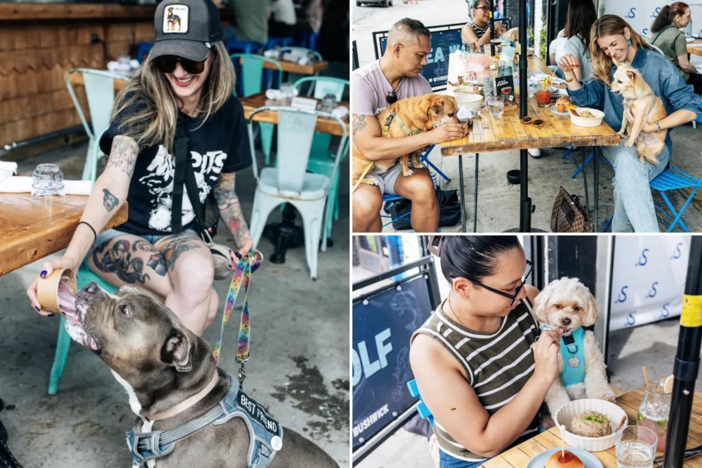 Sea Wolf launches dogs-only menu with human-grade ingredients