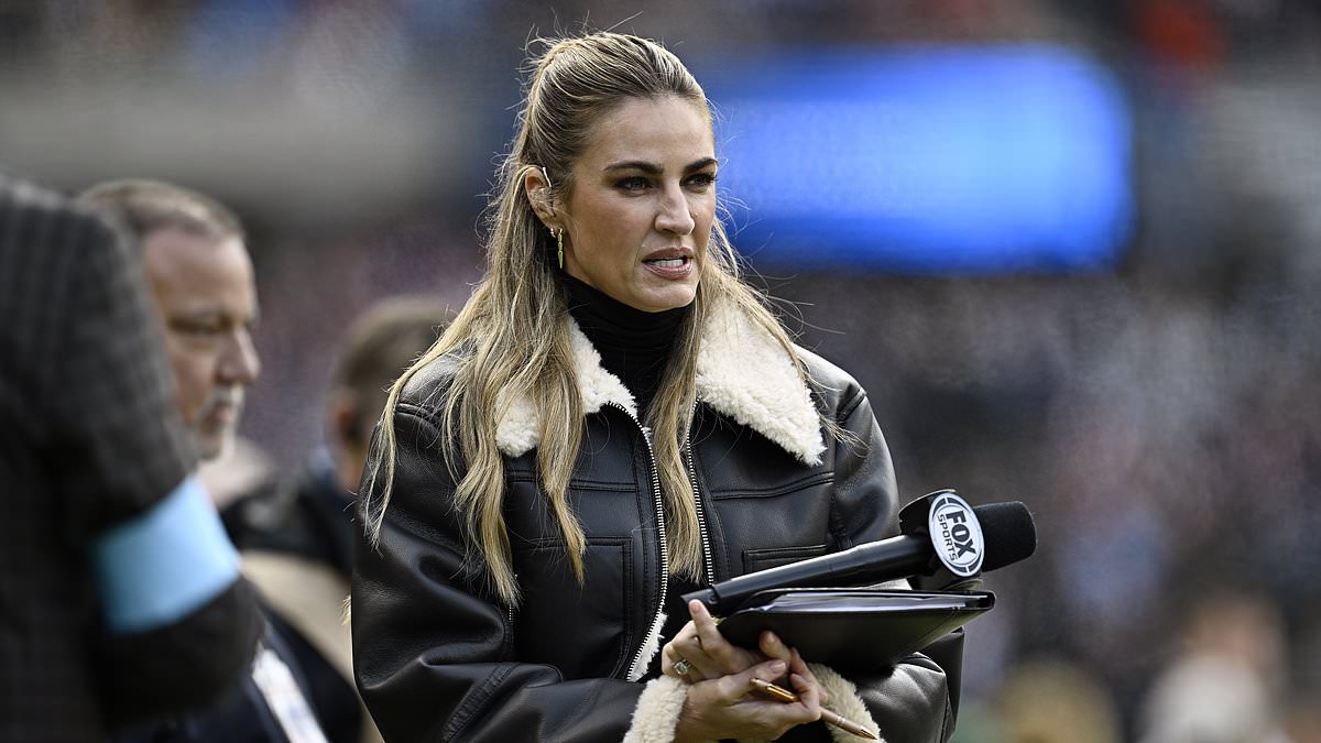 Erin Andrews Responds to Online Critics of Her NFL Sideline Work