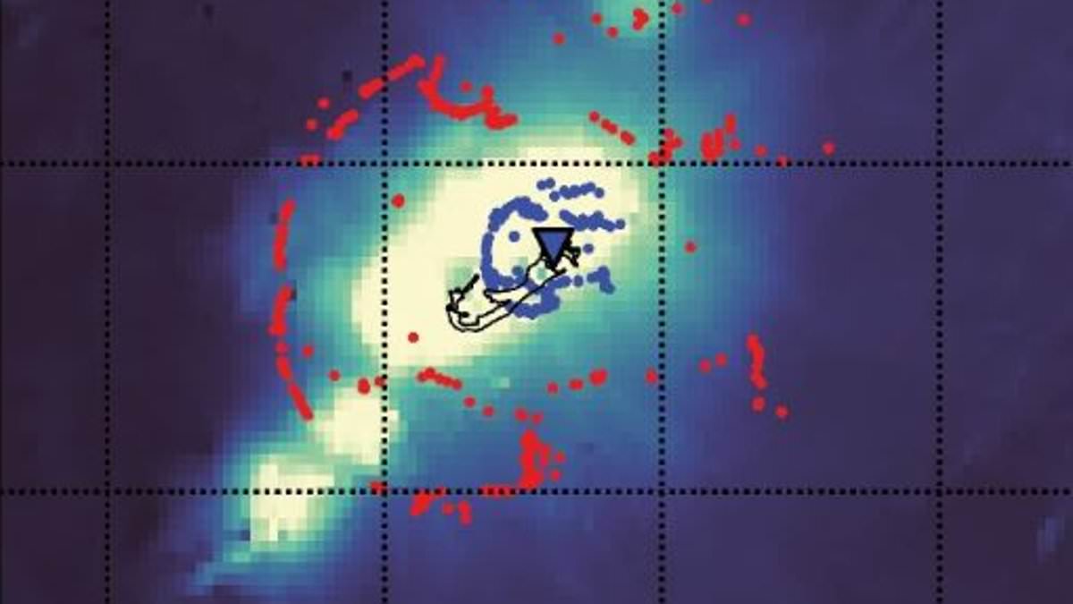 Bermuda Triangle theories flare as scientists reveal massive rock under Bermuda