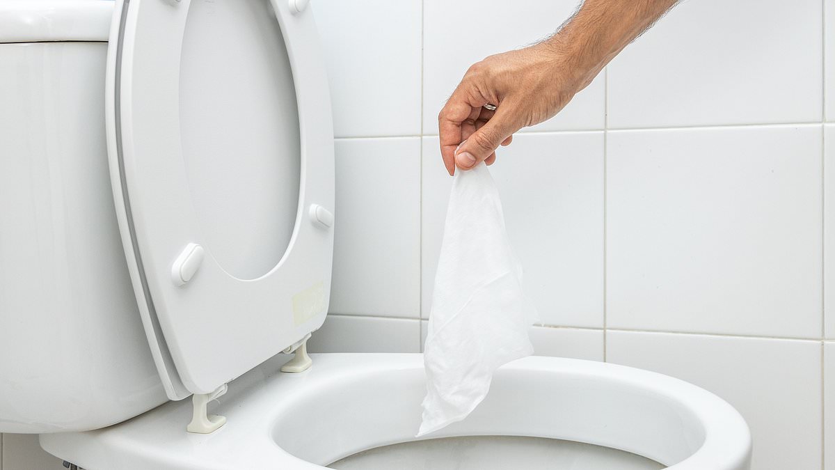 Water company deploys wipe-catching crane to deter flushing non-biodegradable wipes