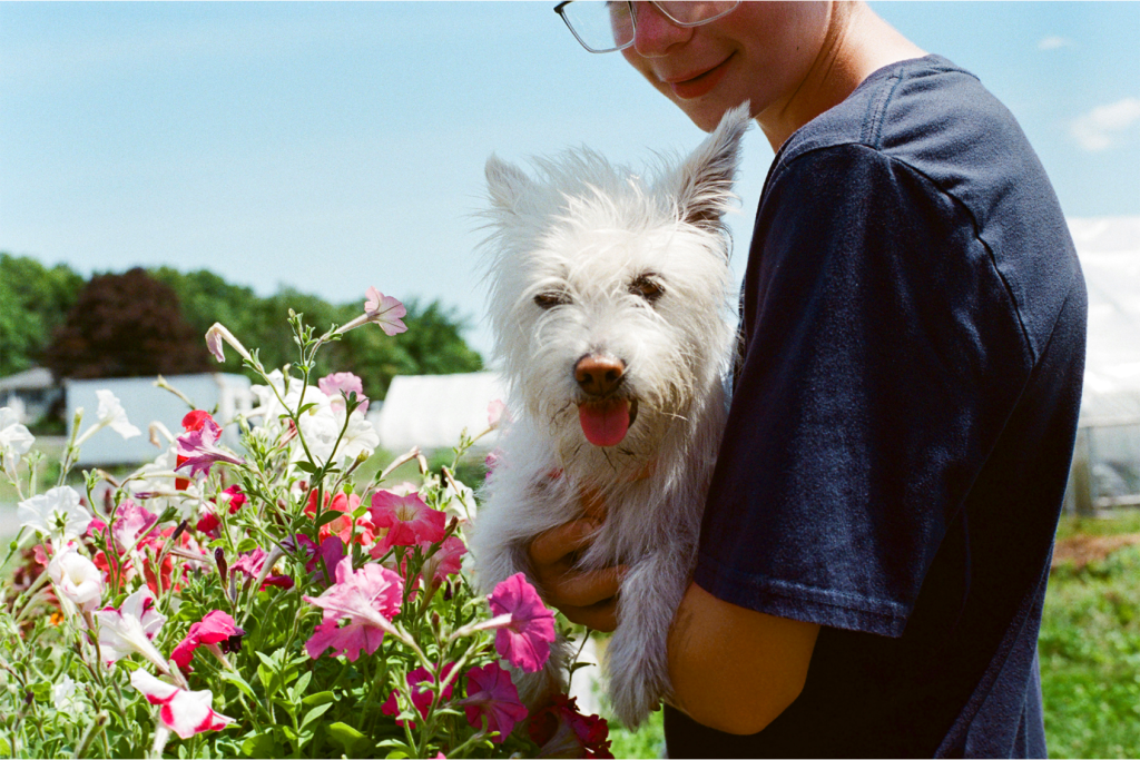 Farmers Dog promo image 2