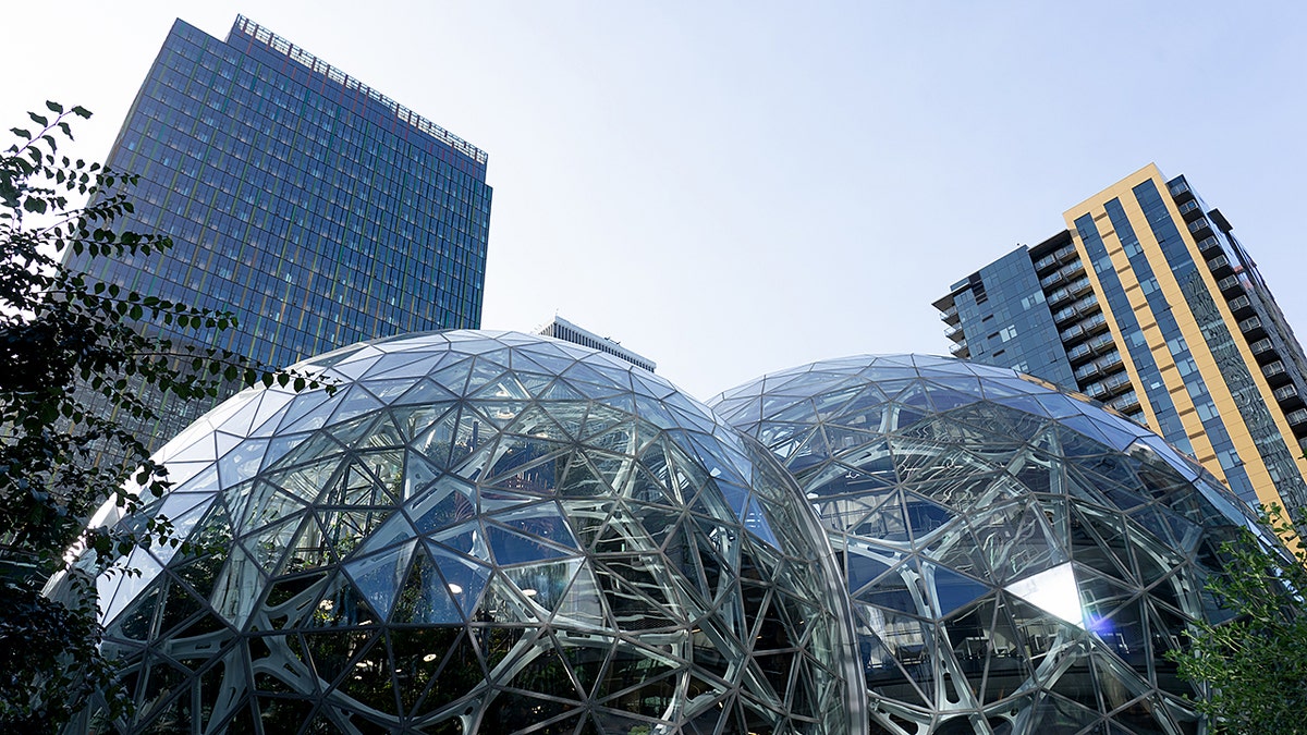 Amazon corporate spheres building