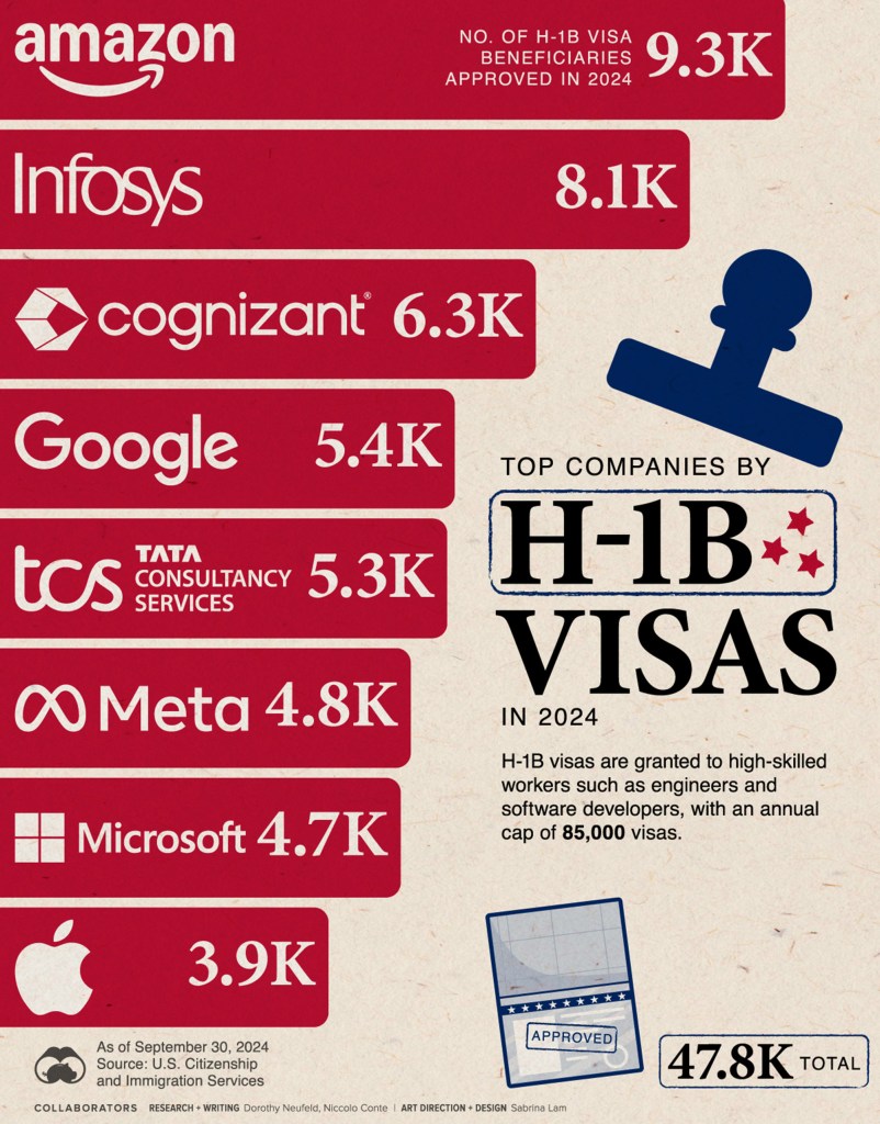 H-1B visa program usage