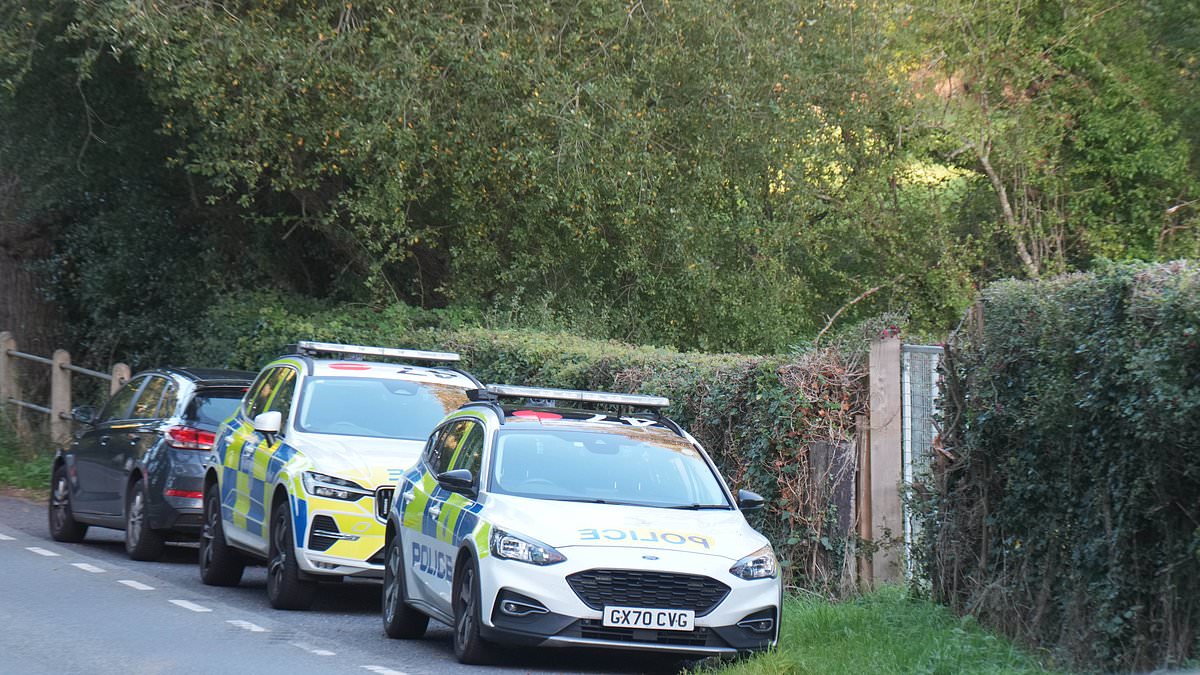 Man dies after falling from hot air balloon near Wisborough Green in West Sussex