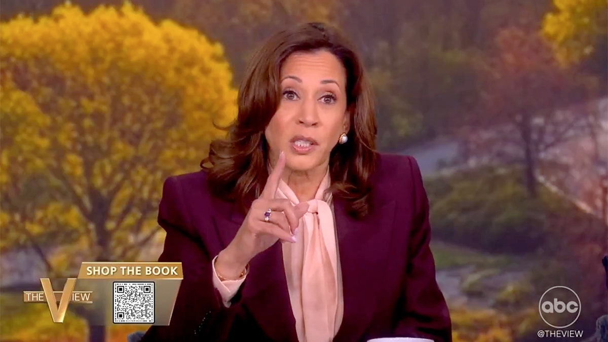 Harris says bungled View moment not tipping point, cites book in new interview