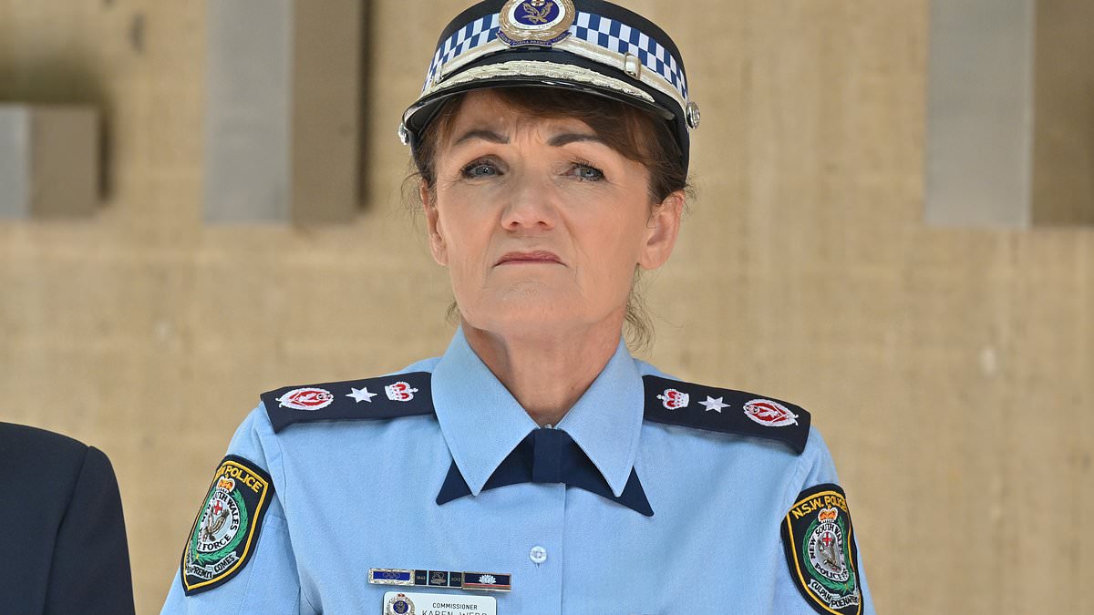 NSW Police names Mal Lanyon as Karen Webb's replacement after she resigns
