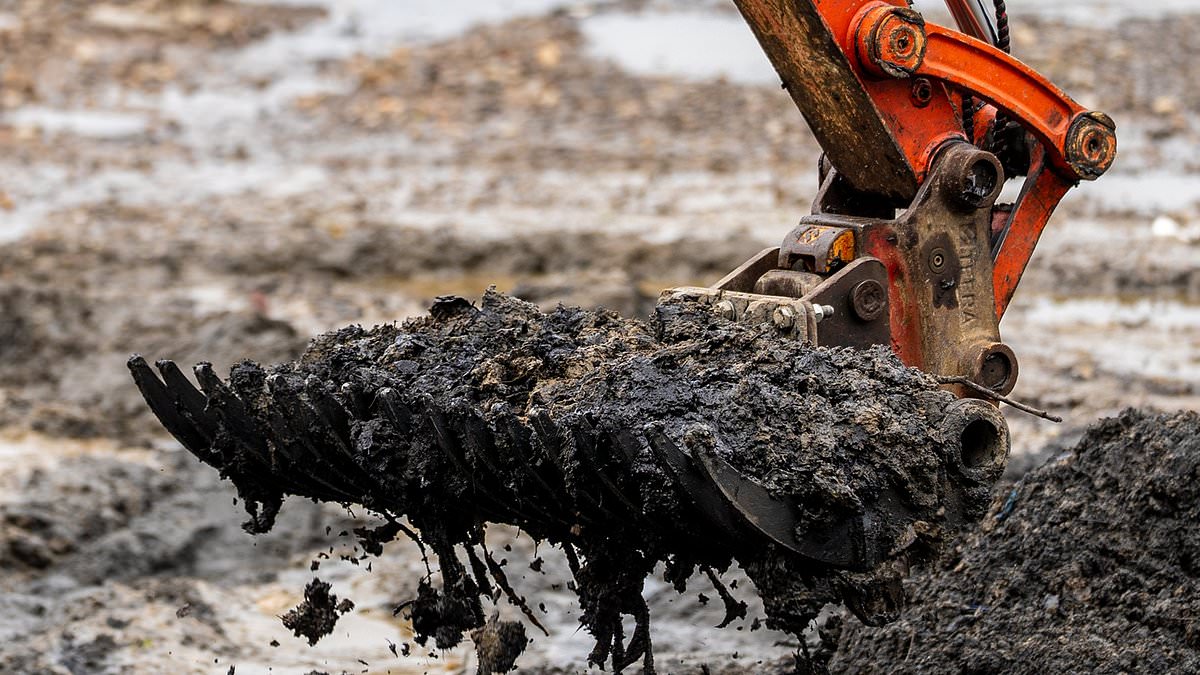 114 tonnes of wet wipes and river debris removed from Thames 'wet wipe island'