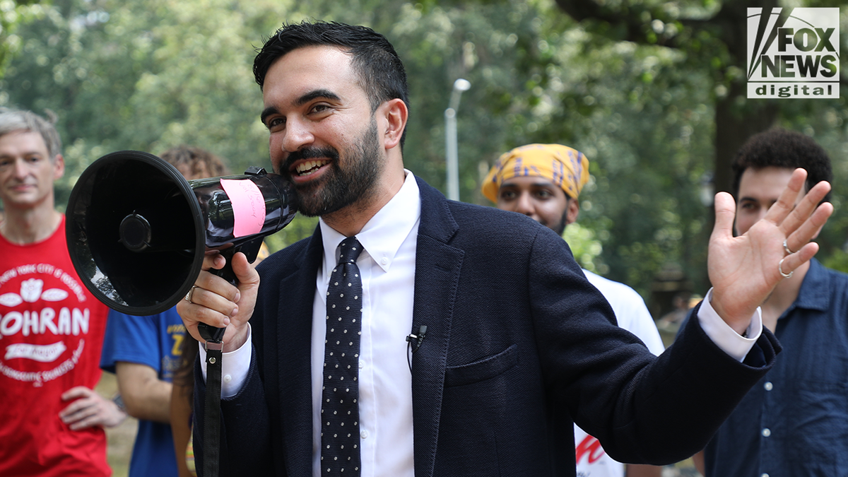 Mamdani canvassing in Prospect Park