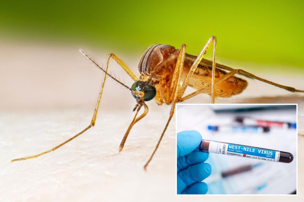 West Nile Virus Cases Running About 40% Above Normal, CDC Says