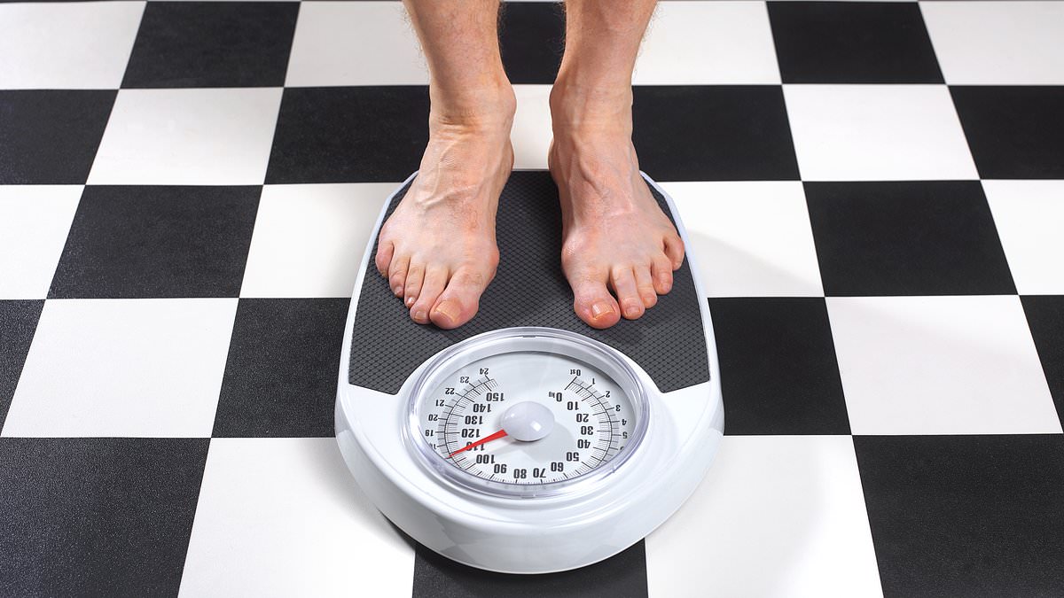 Festive weight gain often temporary, studies show small, reversible changes