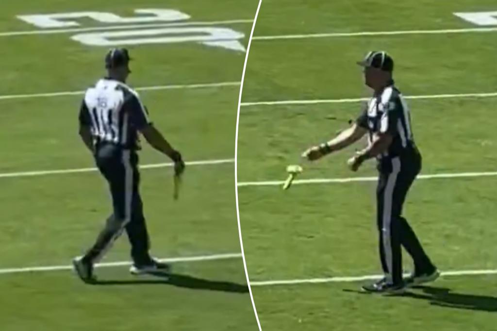 Sex toy thrown onto field during Browns-Bengals season opener