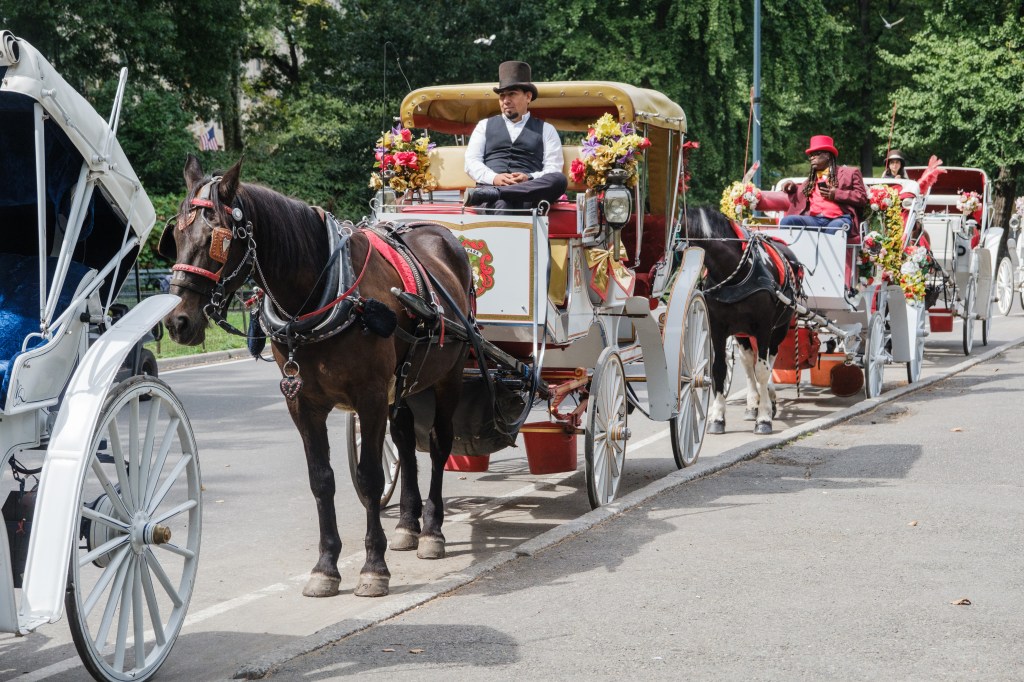 Central Park roadway design