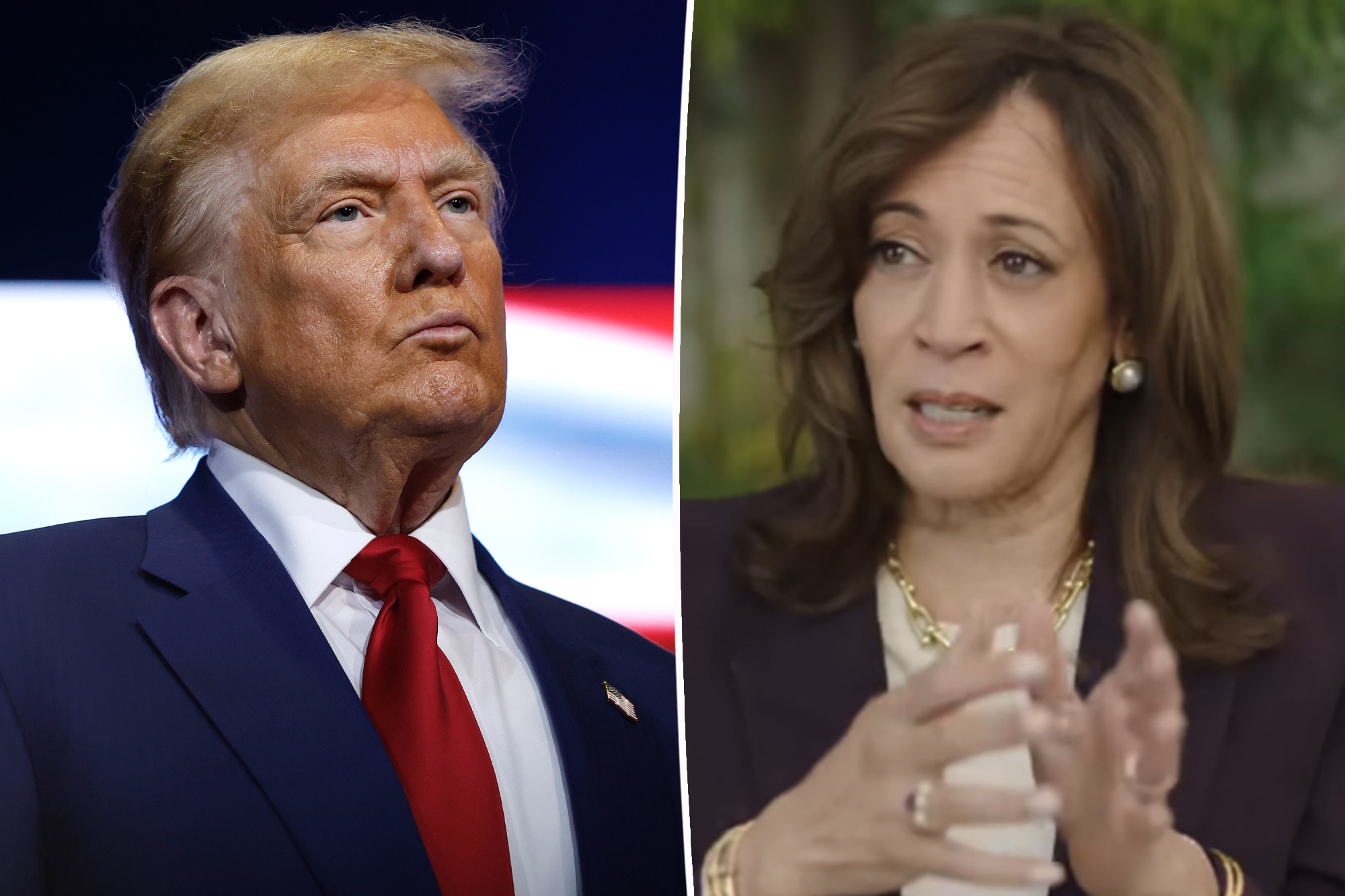 Harris and Reid discussion image