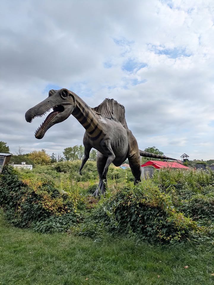 Potential buyers inspect listings