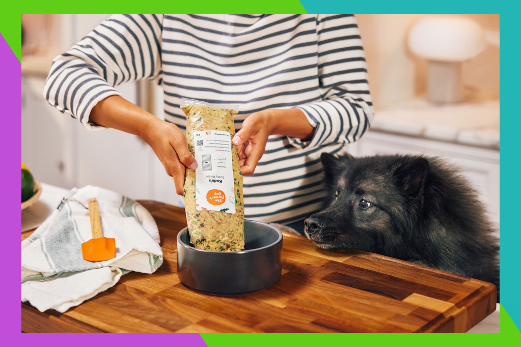 The Farmer’s Dog launches first annual Dog Person Day with 50% off first box and year-long giveaway