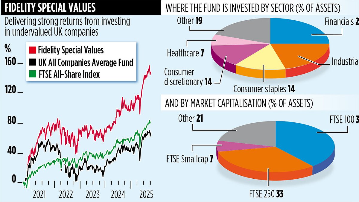 Fidelity Special Values posts 140% five-year gain as managers see further double-digit returns