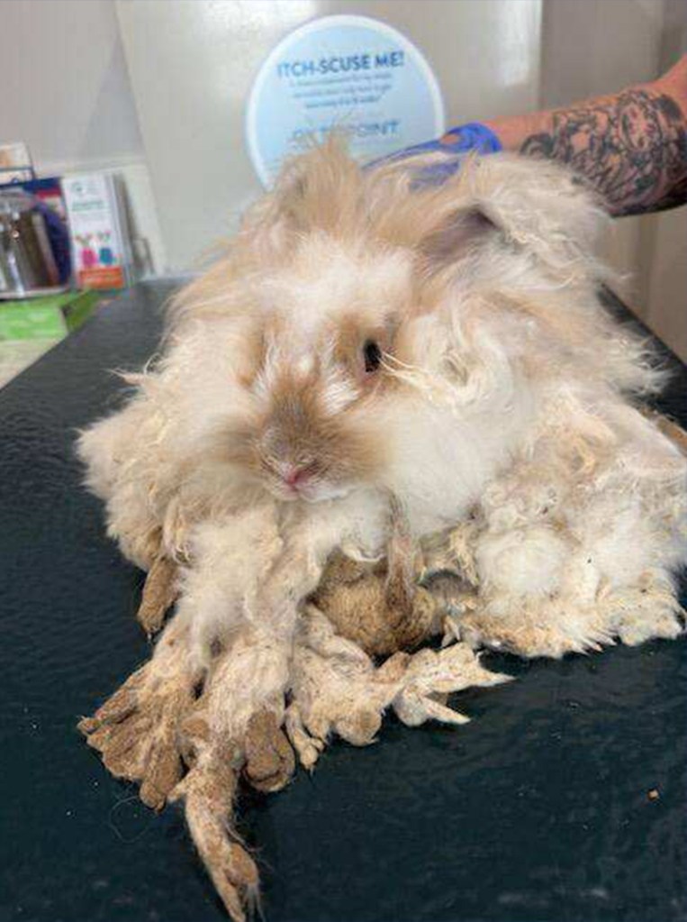 Interior condition of the Warwick property