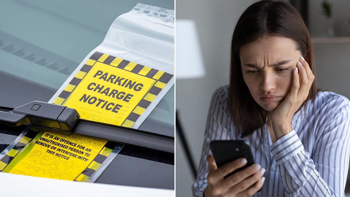 UK phone users warned as surge in recruitment, car finance and gambling prize SMS scams