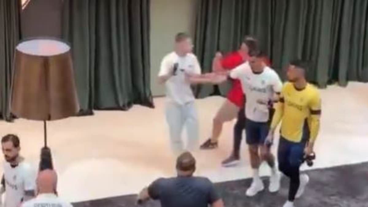Cristiano Ronaldo pushes fan who breached security at Portugal team hotel