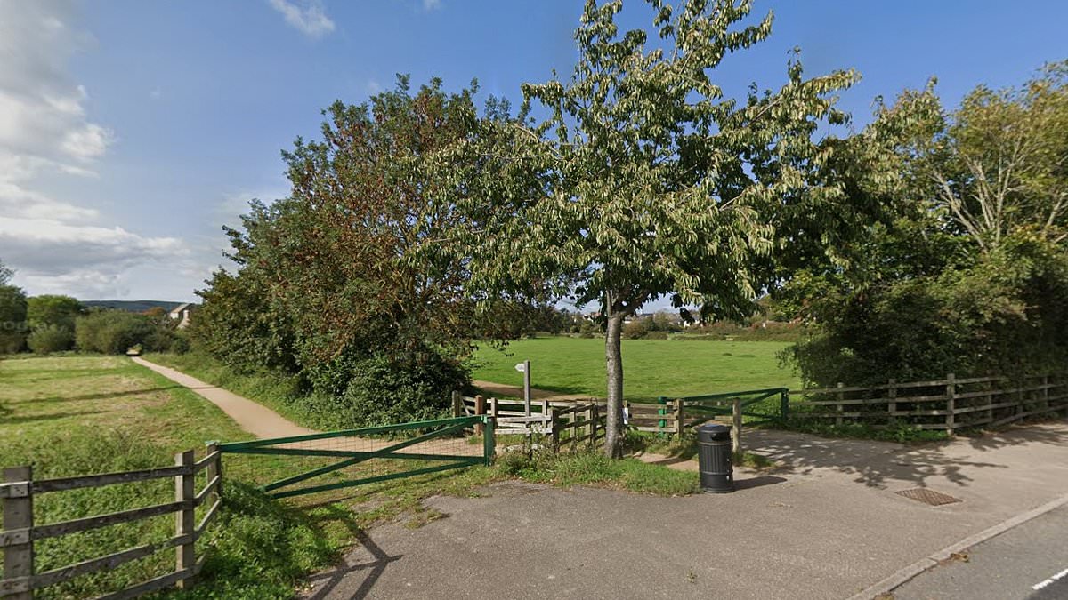 Police investigate after mother and two children chased with stick and racially abused in Dorset park