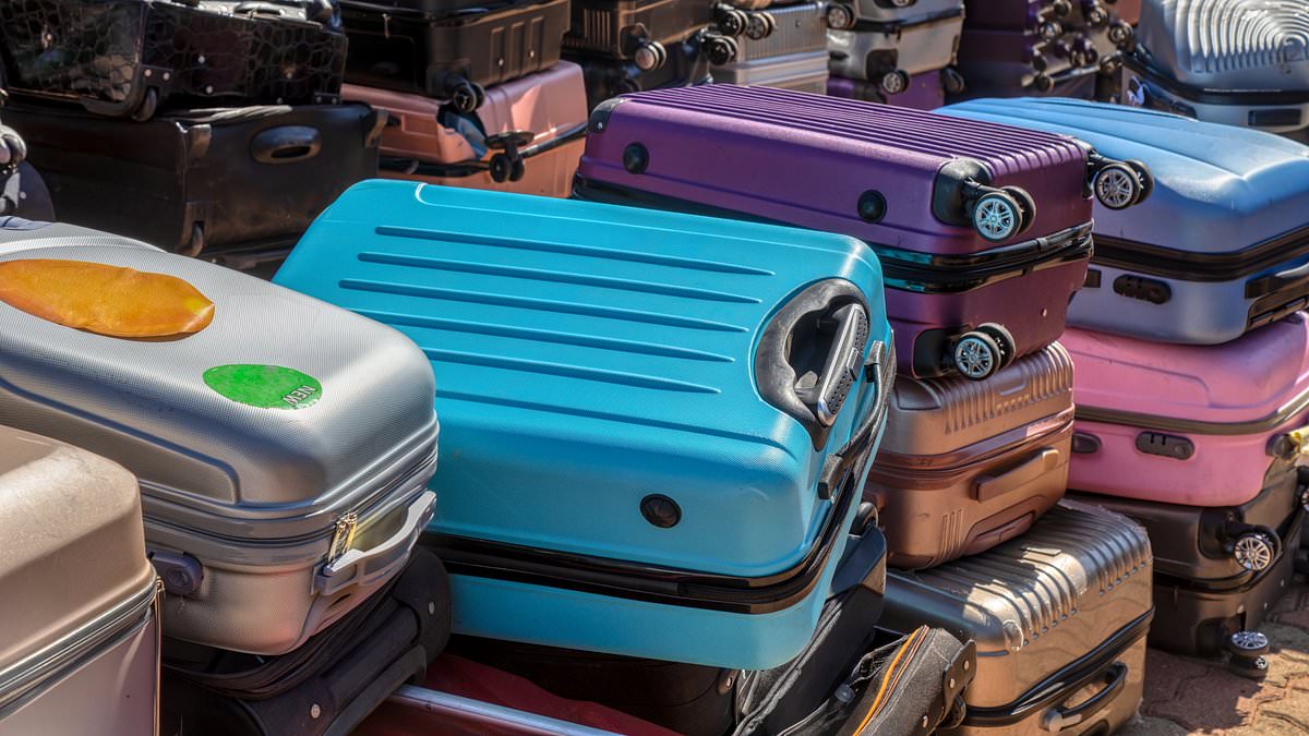 Airport baggage handler says zip‑tie ‘hack’ can increase risk of lost luggage as viral post spreads