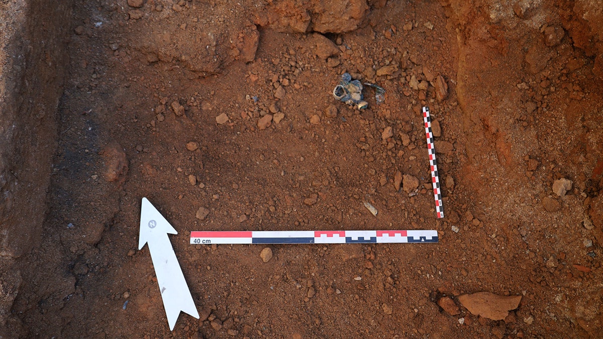 Painted wall fragments and architectural remains from the burned structure