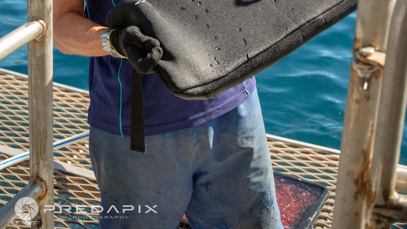 Bite-resistant wetsuits show promise in reducing shark-bite injuries, study finds