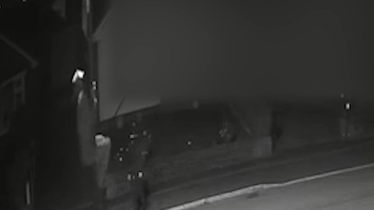 Flag vandalism outside Olympic champion Adam Peaty’s mother’s home adds to UK flags debate